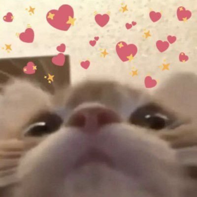 sainziety's profile picture. ♡ @flapanthers ♡