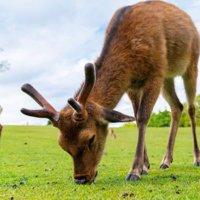 第19回日本透析クリアランスギャップ研究会学術集会 (@kgmsepejtp86267) 's Twitter Profile Photo 第19回日本透析クリアランスギャップ研究会学術集会 (@kgmsepejtp86267) 's Twitter Profile Photo