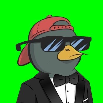 Big time vibes Yap too much Go birds Axiom - https://t.co/JAlxkTwc7S