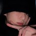 jjk⋆ (@kkukvmin) Twitter profile photo jjk⋆ (@kkukvmin) Twitter profile photo