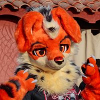 Koinu RK9 (@koinuarcanine) 's Twitter Profile Photo Koinu RK9 (@koinuarcanine) 's Twitter Profile Photo