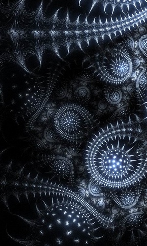 Denice van Herwerden