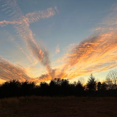 quiltgrl89's profile picture. 