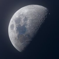 daniel marin (@danielms09931) 's Twitter Profile