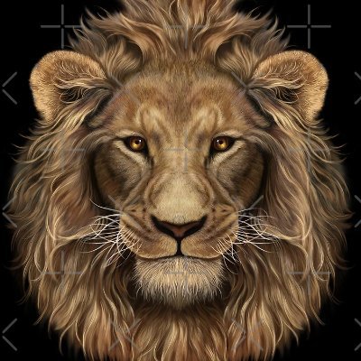 dessalinesgene1's profile picture. 