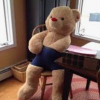 Ambarxxx (@enlinea72) 's Twitter Profile