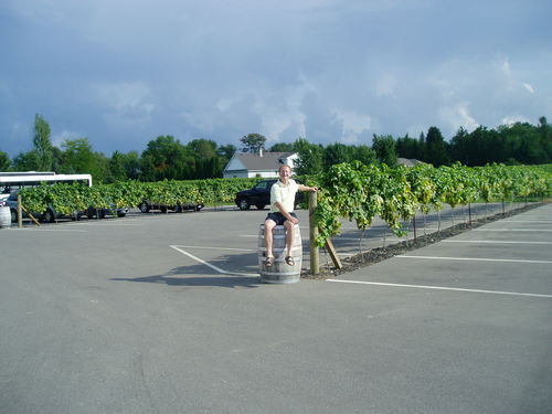 Cottage Winery Cottagewinery1 Twitter