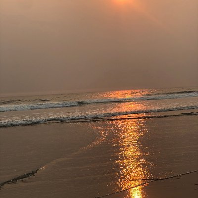 Janieonthecoast's profile picture. ✝️ MAGA 🇺🇸 No DM 🌊