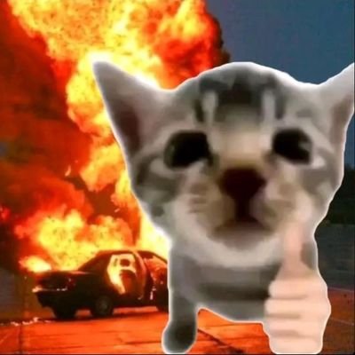 Miccyyyy1511's profile picture. 