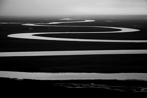 rhorie's profile picture. 