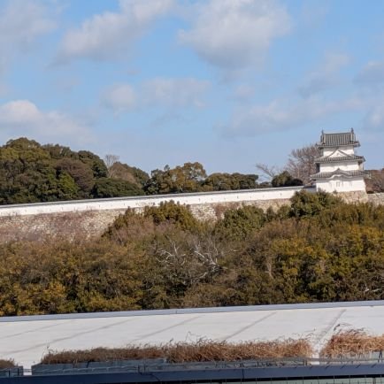 Kayo_Kaga's profile picture. 