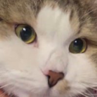왕쿠니 (@kuniklein) 's Twitter Profile