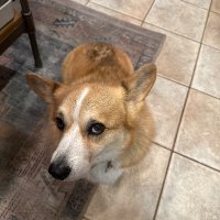 Carlton Mccoy (@carltonmccoy) 's Twitter Profile