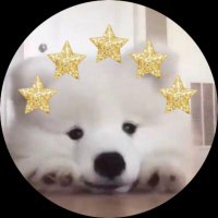 แอ๊บแอ๋ʕ •ᴥ•ʔ合 (@_pangnn) 's Twitter Profile