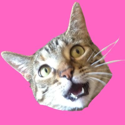 theculturedump's profile picture. An internet and pop culture blog and podcast covering all the garbage ruining our lives.