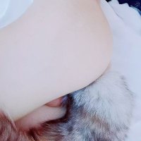 狗狗酱的原味食堂！ (@mm12444xxx) 's Twitter Profile