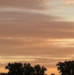 19101600P's profile picture. 21
Stgo/chile