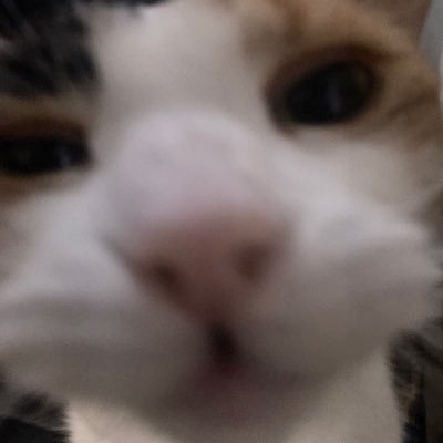 Felicityisover's profile picture. Mostly Sonic Artist
71🔄
Multifandom