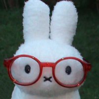 silly (@kiahnxtdoor) 's Twitter Profile