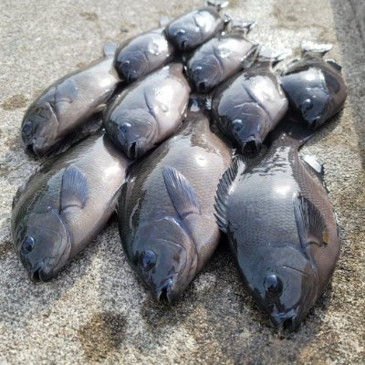 私は仕事に情熱を持っており、幸せな生活を送っています。これからも全力で頑張ります。
気軽にフォローしてください。