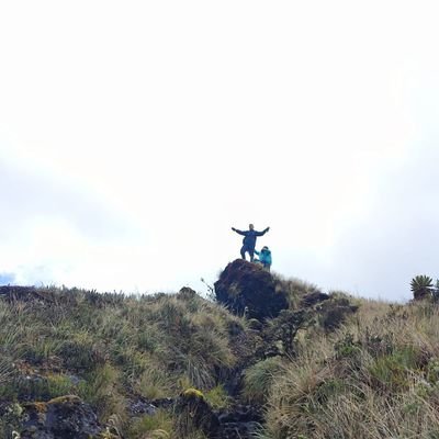 Yersson_g's profile picture. Abogado, Indígena Kokonuko.
Ex-consejero del @PuebloKokonuko