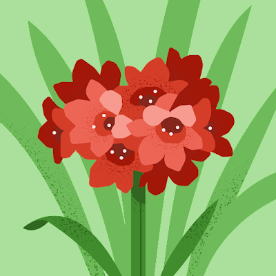 Marcellyllon's profile picture. 