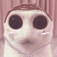 πͺ» πΏπππ£ππ©π β πππ£π£π β πΏππ π‘οΈ (@dianassswoo) 's Twitter Profile