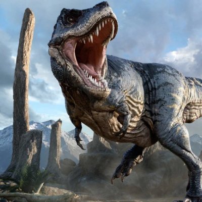 Songtirano1996's profile picture. 