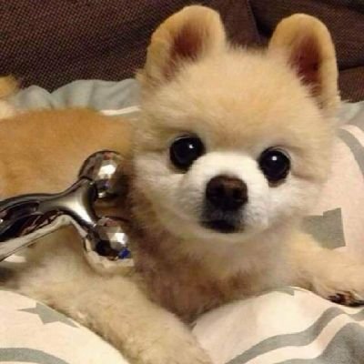 SBc5GQejYI56021's profile picture. 機種変更したから( ω-、)新たに（笑）
一番♥推し♥隆二様💓が大好き🍀😌🍀三代目👀宜しく😃✌️