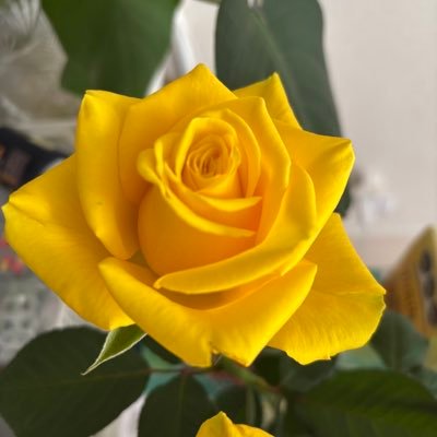 sora20224's profile picture. 