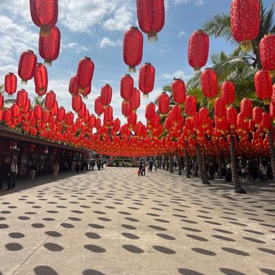 wngjngy431076's profile picture. 