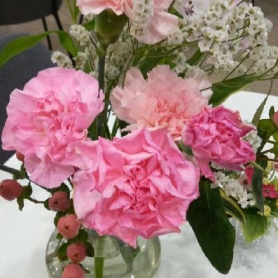 costarlca0824's profile picture. 娘は祝福家庭を出発したので、夫婦２人になりましたです。