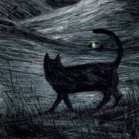 Tijana (@delululands) 's Twitter Profile