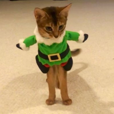 AlliedToUs's profile picture. SRA/JW Survivor
Facts w/ a pinch of fckery

Justice for:
Dr. John Robert Costigan
Dr. Roberta "Bobbi" Sachs
George G. (Grandpa)

Targeted 
Men Died in their 40s