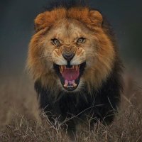 Very Bad Person (@thehugedeek) 's Twitter Profile Photo