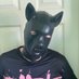 BlackPigTop (@pigtopnyc) Twitter profile photo BlackPigTop (@pigtopnyc) Twitter profile photo