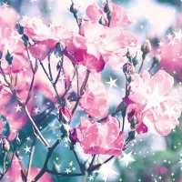くろみつ (@kuro_mitsuu) 's Twitter Profile Photo くろみつ (@kuro_mitsuu) 's Twitter Profile Photo