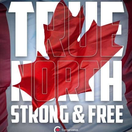 🇨🇦 Proud Conservative Canadian. Never a 51st State! WEF Canada is corrupt!