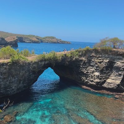 McnaughtPeta's profile picture. 