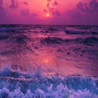 Izzy_Chizzy (@chizzy_izz20586) 's Twitter Profile