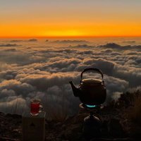 ﮼آلهنوف عبدالعزيز🖤🇸🇦 (@alhanouf1900) Twitter profile photo