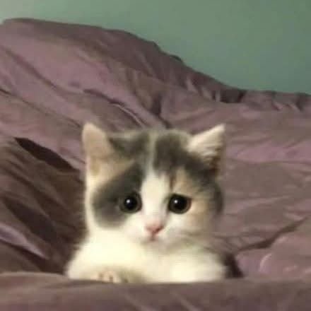 Guerra954263's profile picture. 