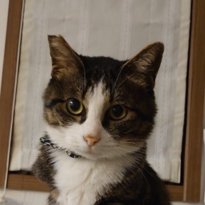 0308kh1's profile picture.