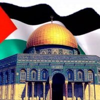 ALI HASSAN (@alihsn50367245) Twitter profile photo