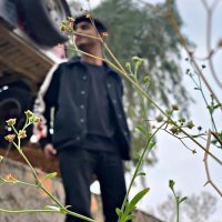 عاطف (@malik_atif__) 's Twitter Profile Photo