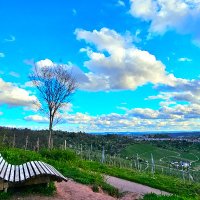 NFT Explorer (@handcraftnft) Twitter profile photo