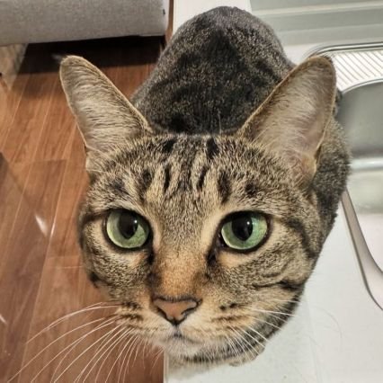 Sether1D's profile picture. I like aromatic rings and F4U corsairs