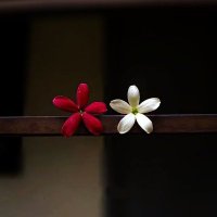 coupledubai9698 (@coupledubai1290) 's Twitter Profile