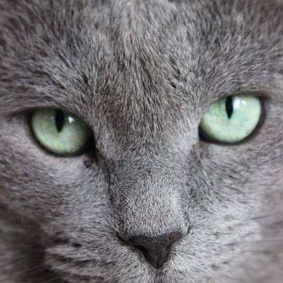 La pensée est créatrice : pensons le monde tel qu'on le
souhaite et pas tel qu'on le craint
C'est une guerre spirituellle
Vibrons haut