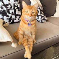 arwen (@earweny) Twitter profile photo